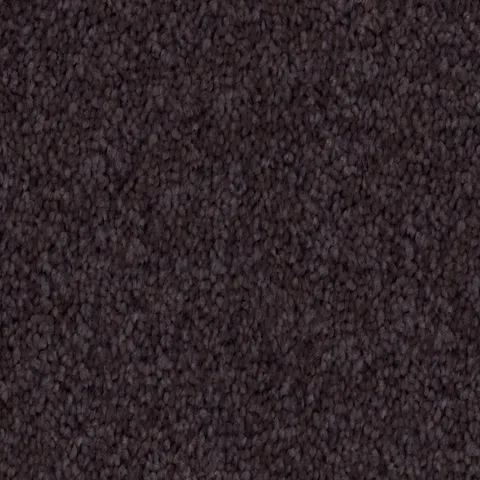 Deep Purple carpet swatch